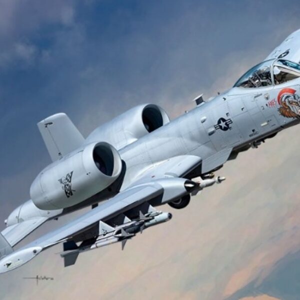 아카데미 12379 A-10C 썬더볼트II 노즈아트 1/48
